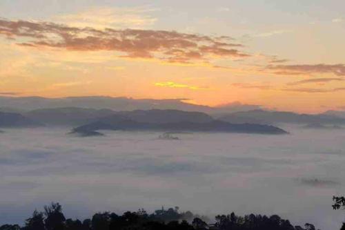 Sereno Hills, Kuttikkanam, Vagamon, Peermade