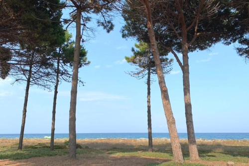 Maison bord de mer/ a 5 min a pieds de la plage