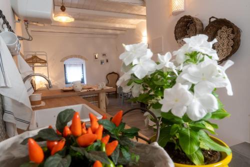 La Casetta di Erasmina 5