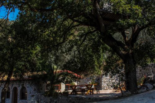 Fattoria Armonia 4