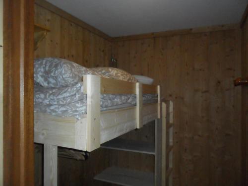 Studio les 2 Aples, Les Deux Alpes (fotografie 9)
