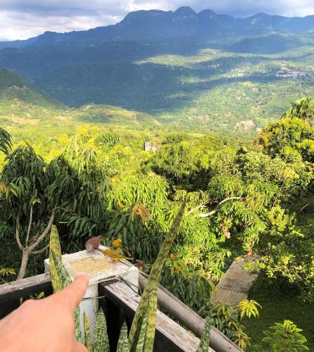 Cabañas Los Tulipanes