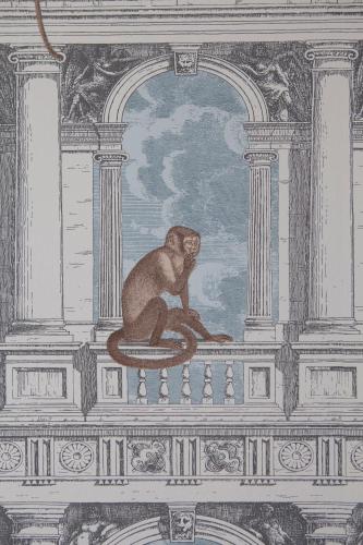 Ca' della Scimmia - image 3