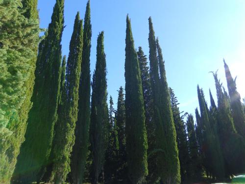 31953055 Hotel Belvedere Di San Leonino