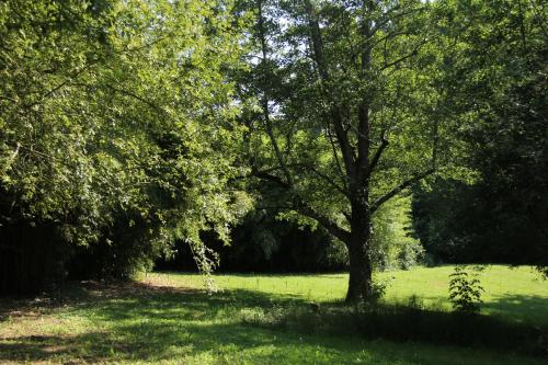 Au Petit Bernerot - Les gîtes de l'Arbre Voyageur