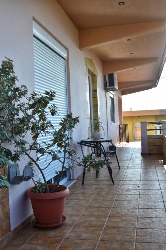  Fully renovated apartment-ανακαινισμένο διαμέρισμα in Paradisi