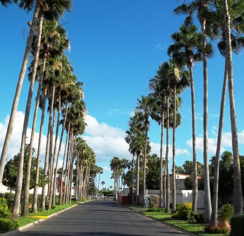 Victoria Palms Inn and Suites - main image