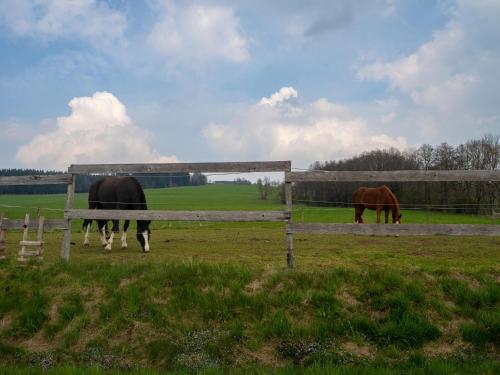 Moderne Unterkunft in Leutkirch