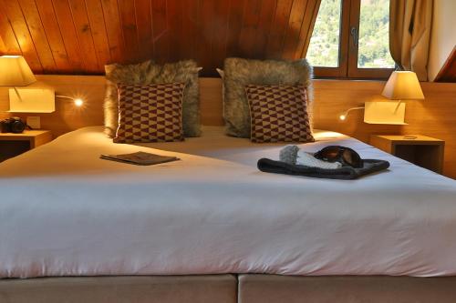 SOWELL HOTELS Mont Blanc et SPA - image 3