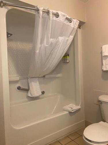 Foto - Holiday Inn Express Hotel & Suites Hinesville, an IHG Hotel