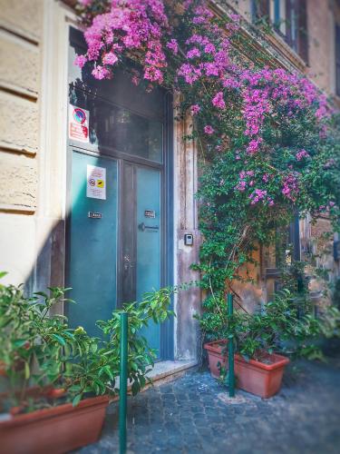 Trastevere Glasshouse 2
