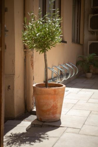 Hôtel de La Marne - image 10