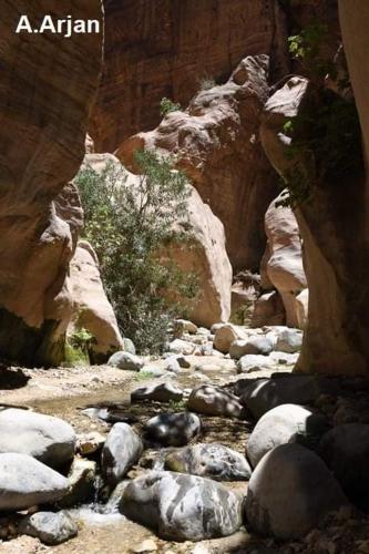 Wadi Ghwere Camp مخيم وادي الغوير in 馬安