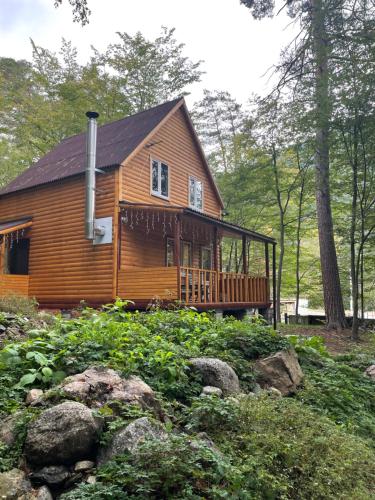 WOOD HOUSE TEBERDA - image 8