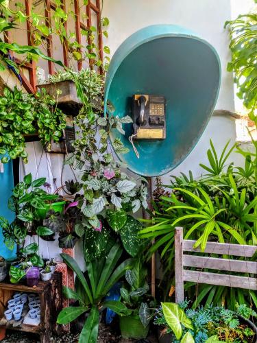Hostel Em Boas Maos - 출입구
