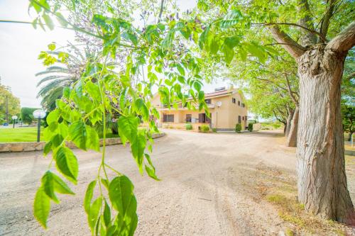 Agriturismo Bonsai Alghero - image 11
