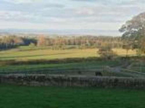 Low Gingerfield Farm B&B - image 2