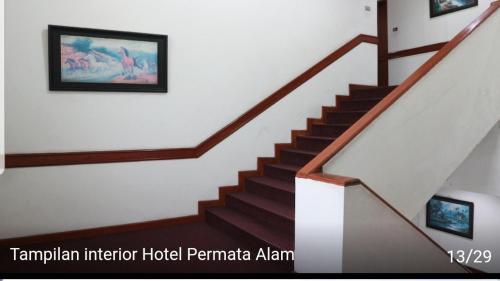 Hotel permata alam – Cisarua, PA