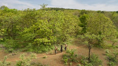 Aramness Gir National Park