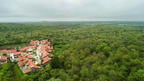 Aramness Gir National Park