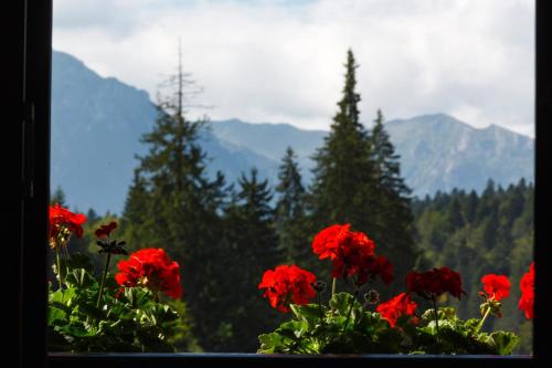 Manor Ski Hotel (Cabana Schiorilor) - image 2