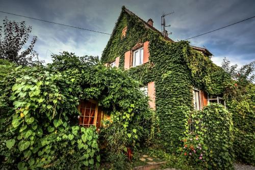 ❊ au Murmure de l'Eau au Coeur de l'Alsace ❊ - Location saisonnière - Ebersheim