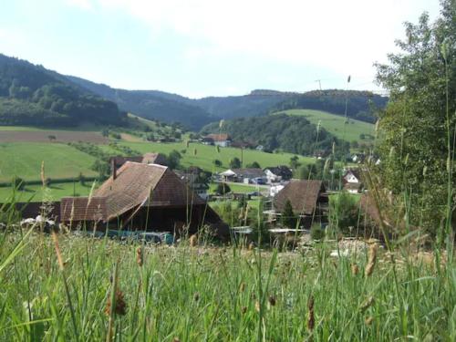 Sonniges-naturnahes-Schwarzwald-Ferienhaeuschen