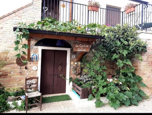 Bed and Breakfast in Collecorvino 