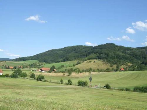 Sonniges-naturnahes-Schwarzwald-Ferienhaeuschen