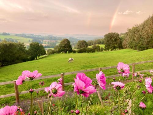 Inviting 5 Beth Caravan in Corwen North Wales gîte à louer Llanelidan