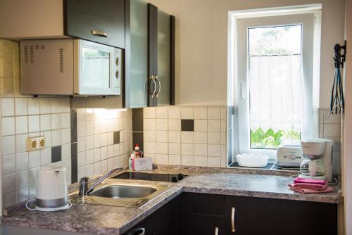 virtuve, Ferienwohnung am Zeulenrodaer Meer in Zadelsdorf