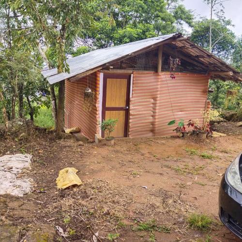 Cave Hill Tree House