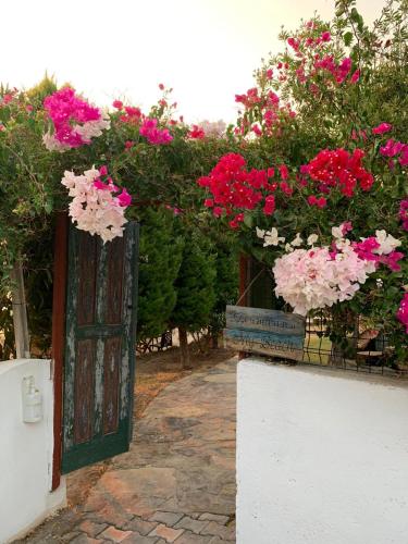 Villa Bodrum Dream