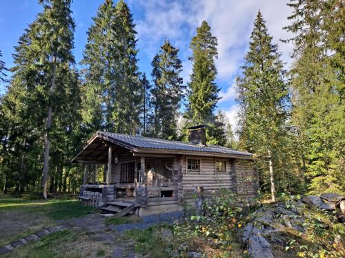 Economy Cottage with Sauna