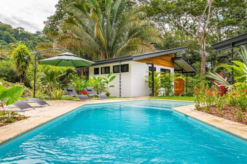 Swimming pool, The Sutton - Boutique Jungle Experience in Uvita