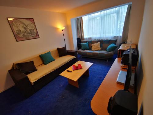 Apartament langa castan - Apartment - Azuga