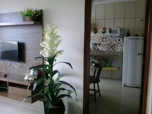Lindo e aconchegante apartamento a50mts da praia na Praia Grande Ubatuba