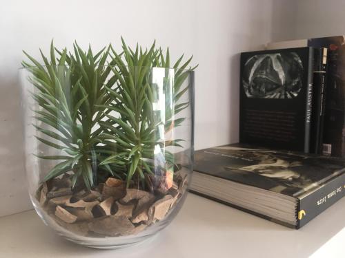 Apartamento El Robledal