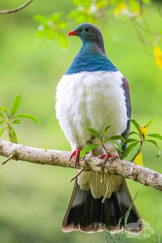 Mike & Jenny's Kaka Point Accommodation