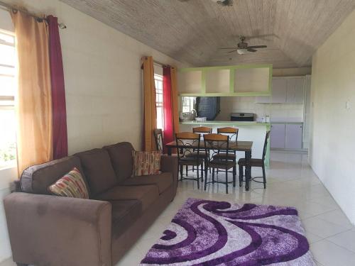 Breezy Spacious Private Upstairs Apt, Fully Equip, Central local wCountry Views