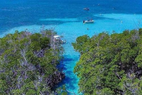 My Little Shack by the Sea