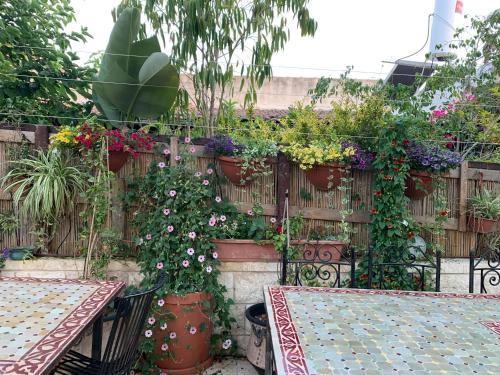 Svarzman suite Svarzman suite