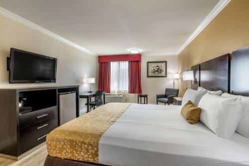 Best Western Plus South Bay Hotel - image 3