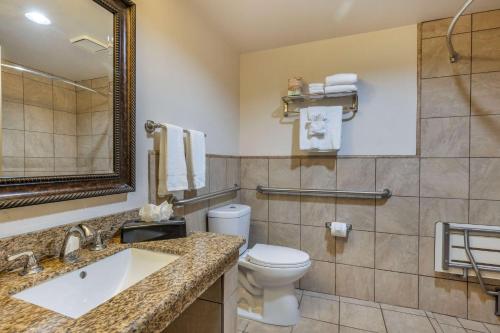 Best Western Plus South Bay Hotel - image 10