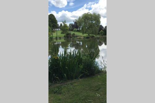 Week-end détente pour 4 personnes (Week-end detente pour 4 personnes) in Gouvy