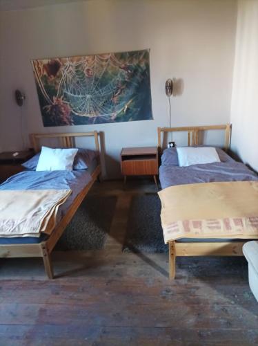 Bakancstanya obrázok