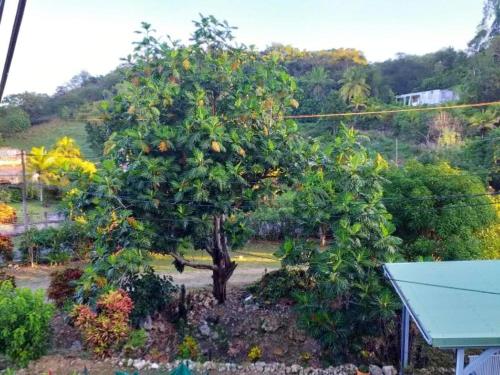 Εξωτερική όψη, Maison charmante aux Abymes avec terrasse et jardin. in Les Abymes