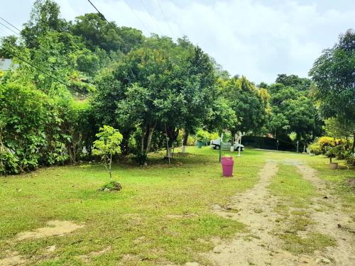 Κήπος, Maison charmante aux Abymes avec terrasse et jardin. in Les Abymes