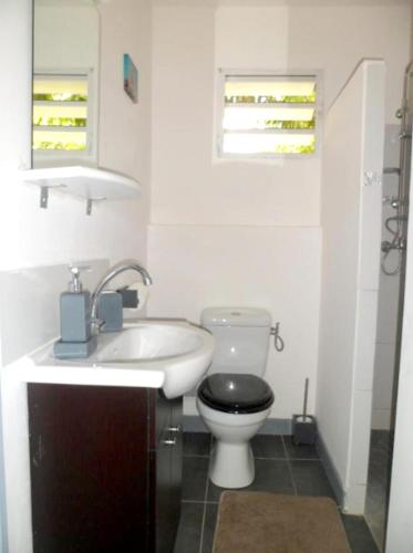 Bungalow charmant à Le Moule avec piscine et jardin - image 2