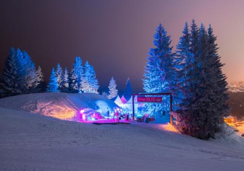 Village Igloo Morzine Avoriaz - Hotel